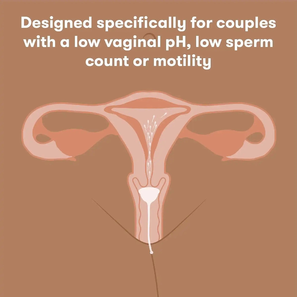 Frida Conception Aid Cup for Natural Pregnancy Support, Storage